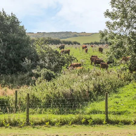 Freeborough Tatil Evi *